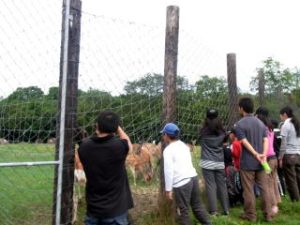 鹿牧場公園に移動して、エゾシカの生態について学びました