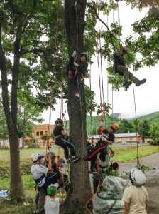 木登りをする子供たち