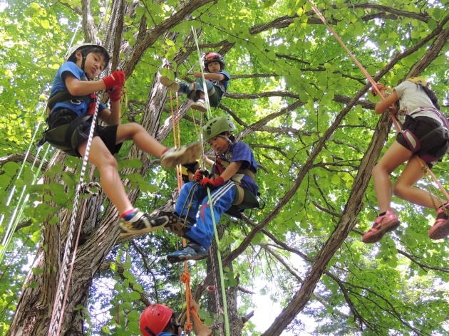 木登り体験