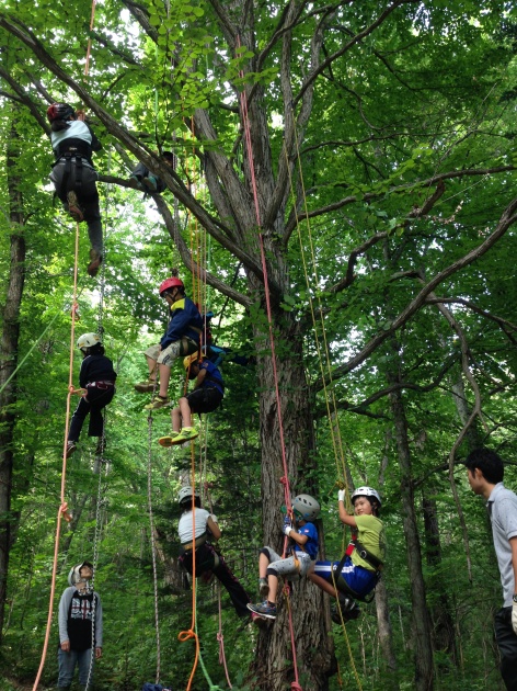 木登り体験