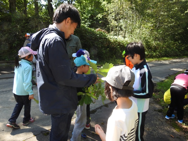 西興部村ワイルドライフ教室