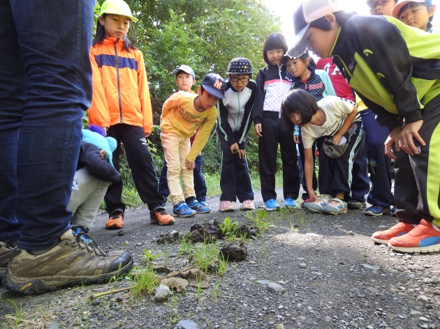 西興部村ワイルドライフ教室