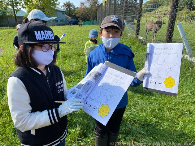 西おこっぺ村ワイルドライフ教室　鹿牧場