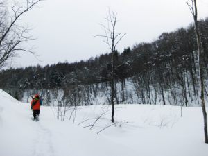 ストーキング