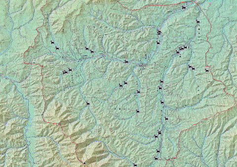 2003年度捕獲個体位置図（シカマーク）→村内の全域で捕獲されています