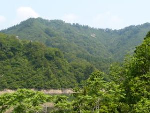 山形県朝日村大鳥付近の風景。
