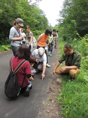 ヒグマの足跡を発見！