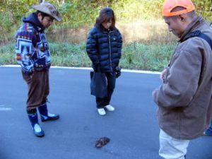 ヒグマの糞を見つめる参加者