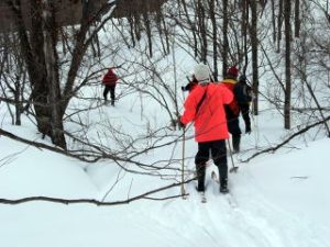 山スキーでの斜面の下り方。