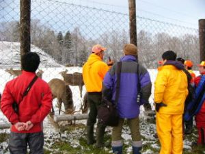 鹿牧場公園でのエゾシカの生態についてのレクチャー