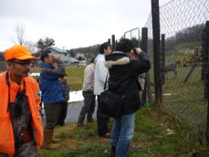 距離の目測