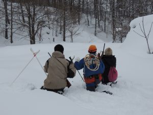 スキー実習の様子