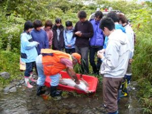 シカの学術捕獲を見学