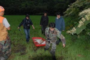 捕獲されたシカを運ぶ