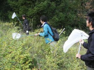 虫網を用いて昆虫調査