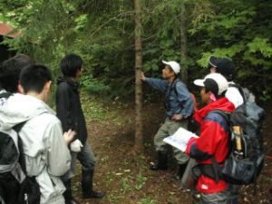 樹木や草本、キノコ類の同定方法を学習