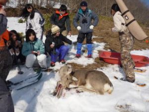 捕獲されたシカを目の前にして