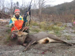 見事成獣オスジカを捕獲！