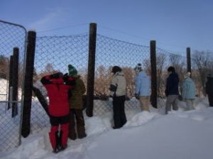 シカ牧場公園