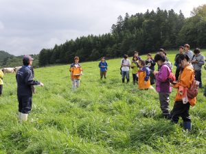 萩原牧場の見学