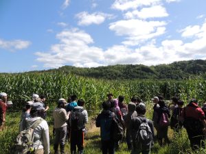 ヒグマ食害地見学