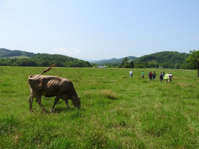 牛牧場