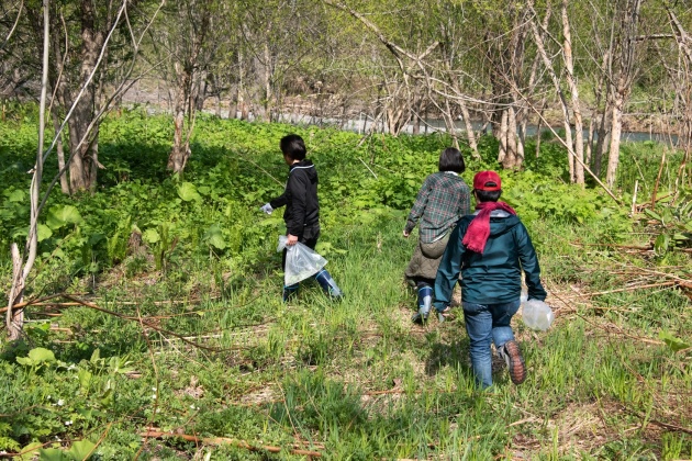 西興部村エゾシカエコツアーで山菜採り