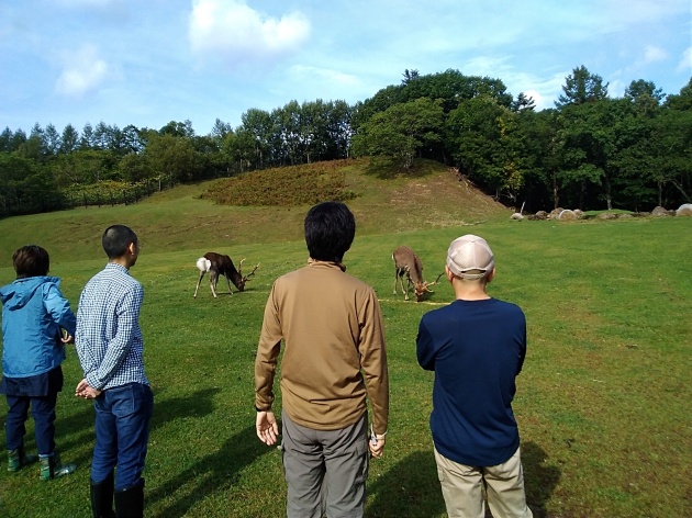 西興部村エゾシカエコツアー　鹿牧場