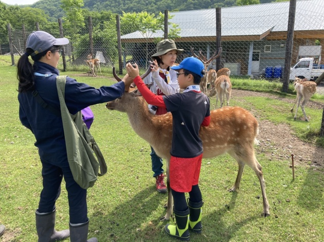 鹿牧場