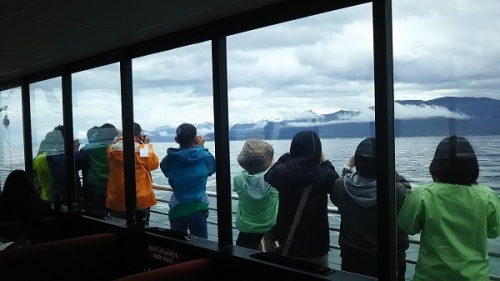 Whale Watching Tour