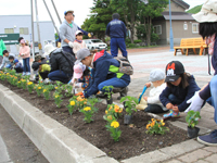 国道付近の花壇の花植え