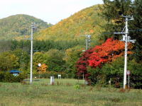 興楽園裏の山々