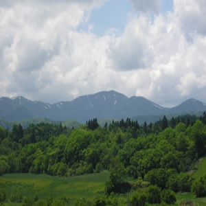 夏のウエンシリ岳