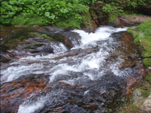 赤岩の滝