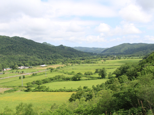 山村を囲む四方の山々