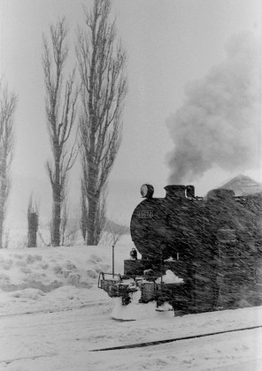 134 このポプラの木が印象に残っている。上興部駅