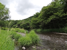 興部川の流れ