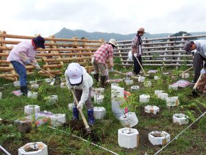 カミネッコン植栽地　石灰山「DCMホーマックの森」