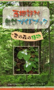 自然ガイドブック　宮の森の植物