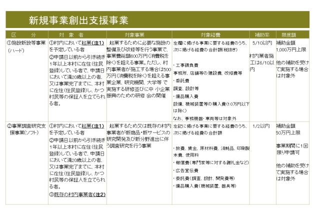 3 新規事業創出支援事業